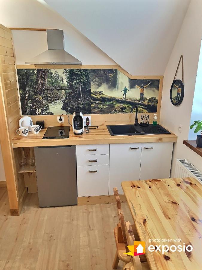 Ski Tour Apartments Закопане Екстер'єр фото
